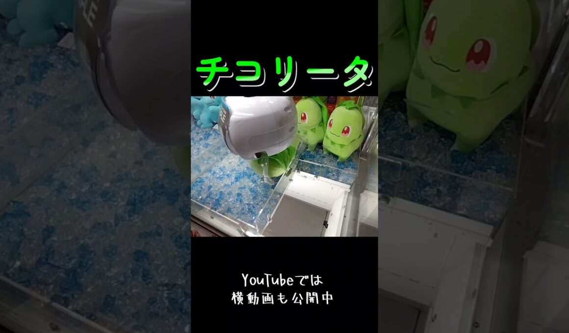 #クレーンゲーム #攻略 #ポケモン #ポケモン30周年 #チコリータ