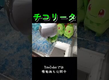 #クレーンゲーム #攻略 #ポケモン #ポケモン30周年 #チコリータ