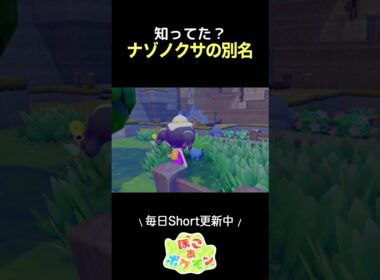 知ってる？ナゾノクサの別名 #ぽこあポケモン #pokemonpokopia