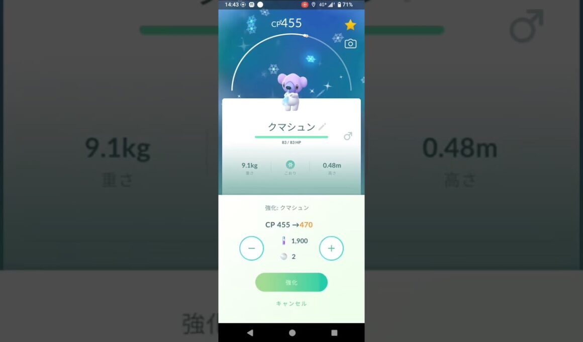 ポケモンGO　クマシュン　ツンベアー　色違い