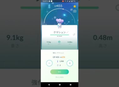 ポケモンGO　クマシュン　ツンベアー　色違い
