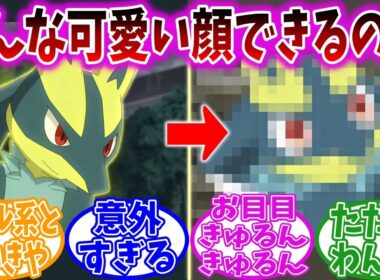 【アニポケ114話】ルカリオがいきなり可愛くなって腰を抜かした視聴者の反応集【ポケモン反応集】