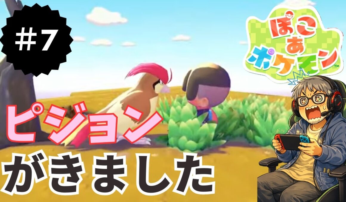 ぽこあポケモンあつまれちびねこ団＃７　ピジョンが来ました