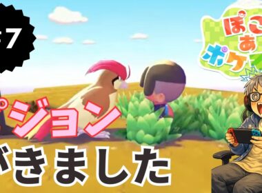 ぽこあポケモンあつまれちびねこ団＃７　ピジョンが来ました
