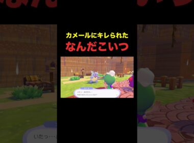 当たってねえだろ。#ぽこあポケモン #ぽこポケ #カメール #切り抜き