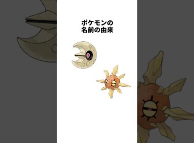 ソルロックの名前の由来は…ポケモンの名前の由来
