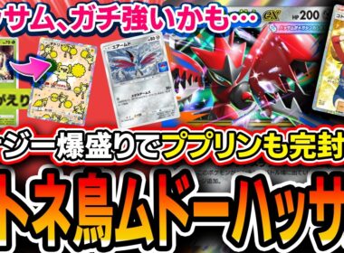 【ポケポケ】ハッサムが一番アタリです！〝トリ入りコトネムドーメガハッサム〟が新時代を切り開くデッキなので紹介します【シャイニングメガ】