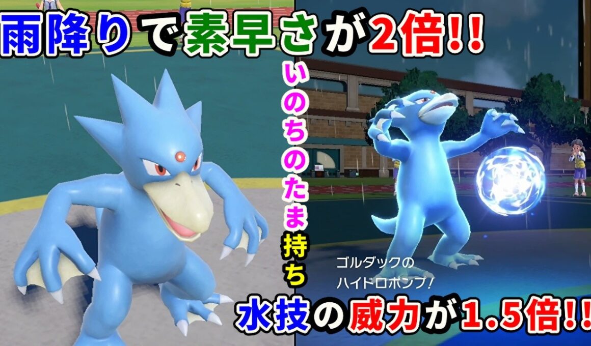 初代からいる河童の様なアヒル「ゴルダック」を活躍させたい！【ポケモンSV】