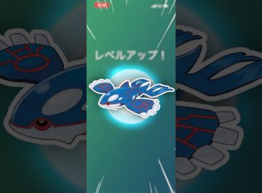 最強のカイオーガを、フル強化じゃー！【ポケモンGO】