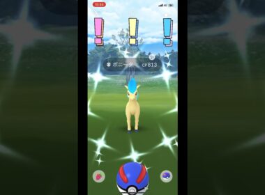 【ポケモンGO】青いギャロップ出現！#pokemongo #ポケモンgo #pokémongo