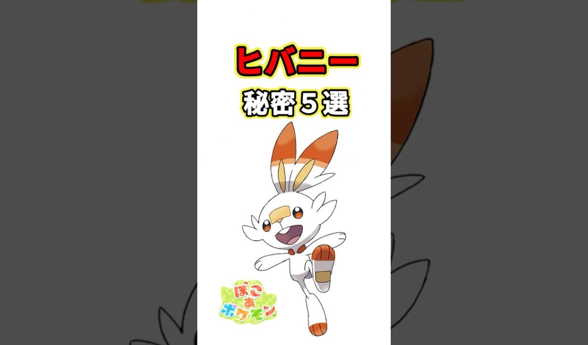 ヒバニーの秘密　ポケモン解説