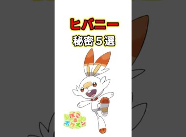 ヒバニーの秘密　ポケモン解説