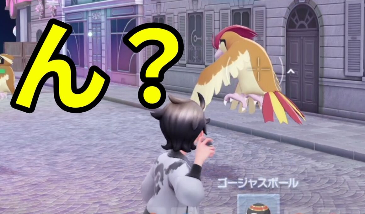 【性格厳選】思ったよりいなくね⁉ｗポッポ【ポケモン】#kyo実況