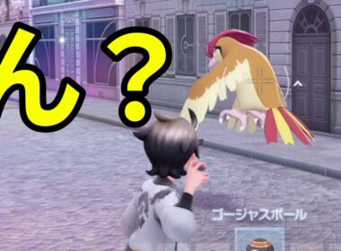 【性格厳選】思ったよりいなくね⁉ｗポッポ【ポケモン】#kyo実況