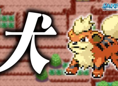 ガーディLv.5で冒険始めたらルビサファはキツい？ヌルい？