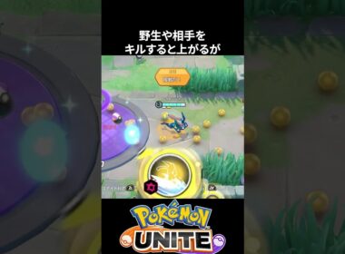 【必須知識】ゲッコウガの波乗りを先端で当てると【ポケモンユナイト 】