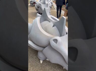 サイホーンのとっしんざか #pokemon #ポケモン #shorts #ポケパーク #サイホーン #ヌメラ #ウソッキー