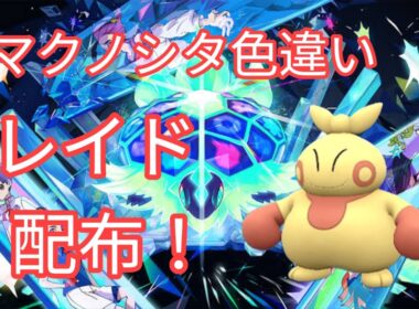 【ポケモンSV】　色違いマクノシタ配布中