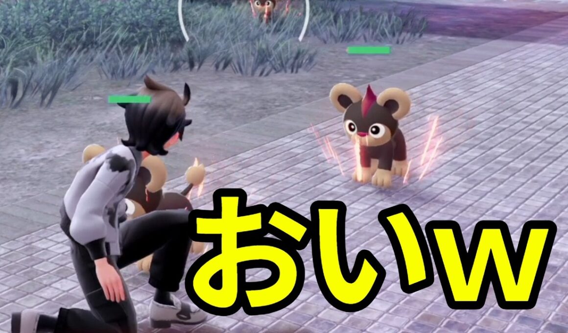 【性格厳選】オスいなさすぎだろ…ｗシシコ【ポケモン】#kyo実況