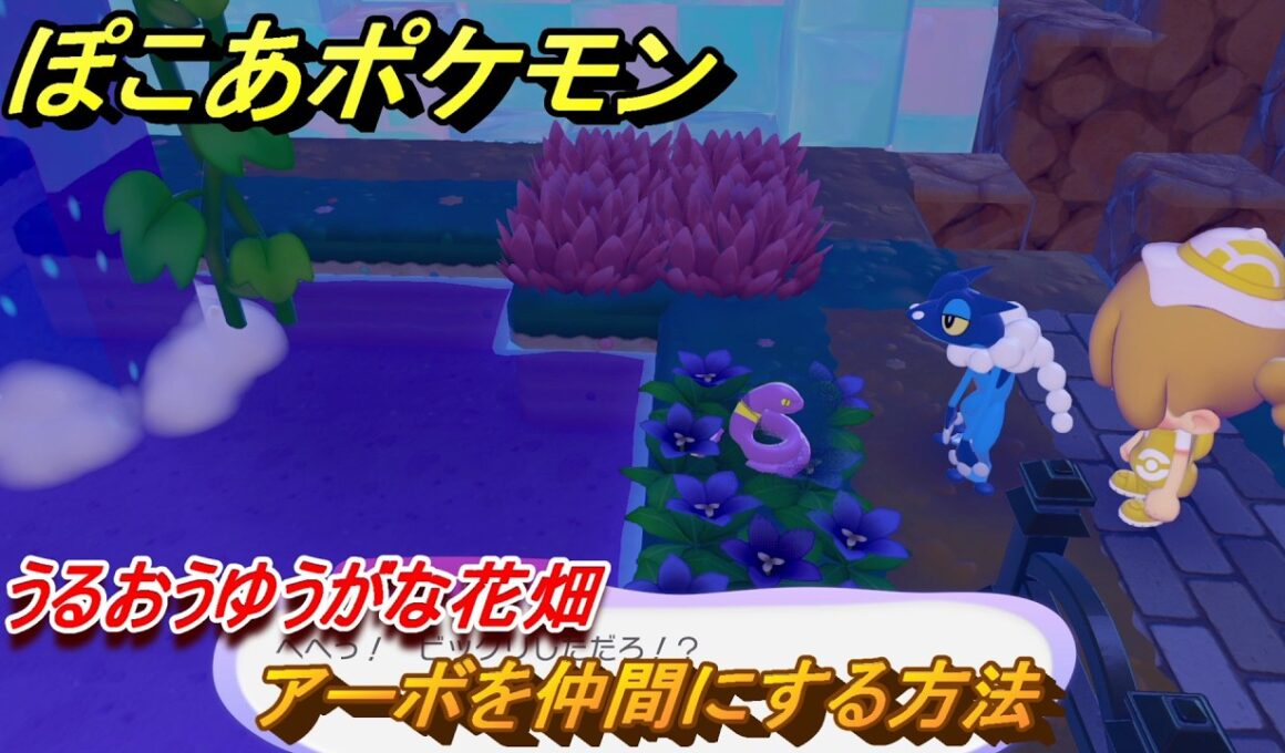 ぽこあポケモン　アーボを仲間にする方法　うるおうゆうがな花畑　＃２２６　【ぽこポケ】