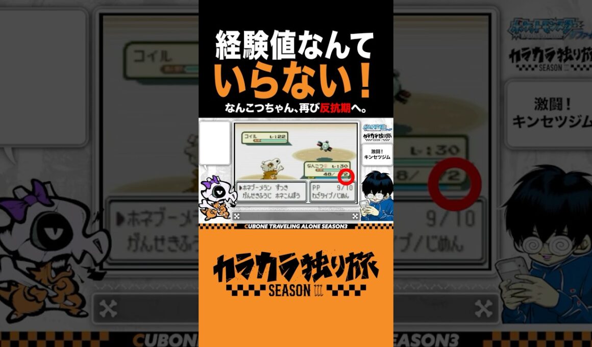 経験値なんていらない。#ポケモン　#カラカラ　#カラカラ独り旅