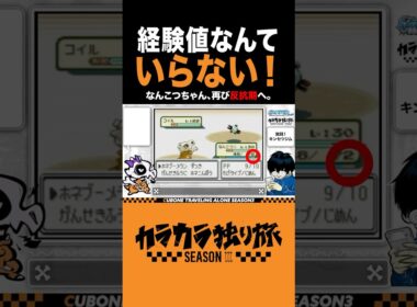 経験値なんていらない。#ポケモン　#カラカラ　#カラカラ独り旅