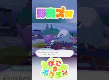 ポッチャマとは気が合う【ぽこ あ ポケモン】 #Shorts #ゲーム実況 #ポケモン #Pokemon #ぽこあポケモン #nintendo