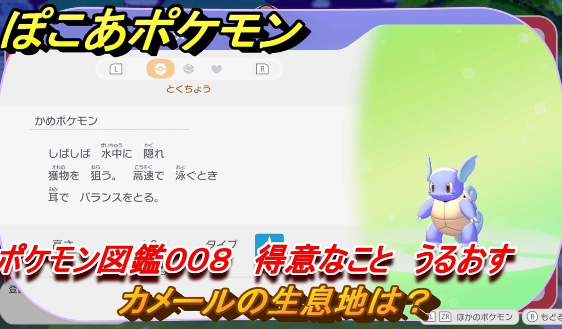 ぽこあポケモン　カメールの生息地は？　ポケモン図鑑００８　得意なこと　うるおす　＃７５６　【ぽこポケ】