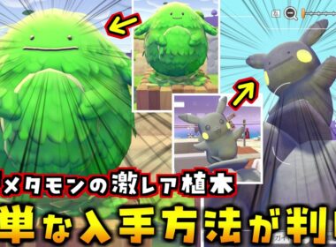 通常プレイでほぼ入手できないメタモン顔の激レア植木の簡単入手方法を解説！更にピカチュウ像がメタモンになることも発見されました！【ぽこあポケモン ぽこポケ 初心者向け攻略】