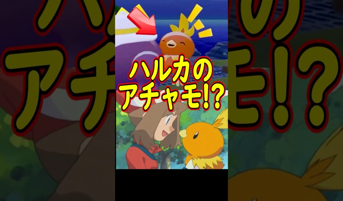 ぽこあのアチャモが衝撃のセリフを！！【ぽこあポケモン】