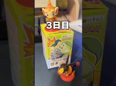 【初タイプ？！】チコリータ来るまでチョコエッグ生活3日目 #ポケモン #vtuber  #shorts #らて時間