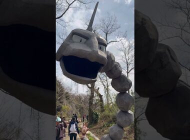 イワークさんどう #pokemon #ポケモン #ポケパーク #shorts #イワーク #オタチ #オオタチ #ハガネール #可愛い #感動 #たのしい