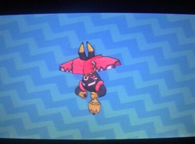 ハイナ砂漠カプ・テテフまでの道【ウルトラサンムーン】