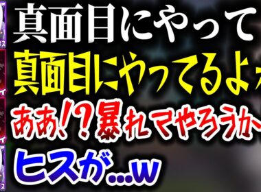 ラプルイで協力ゲーをやっていたらヒスママと化してしまうルイ姉ｗｗｗ【ホロライブ切り抜き/ラプラス・ダークネス/鷹嶺ルイ/Carry The Glass/秘密結社holoX】