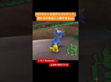 10万ボルトを浴びたゴルダック。倒れ方が完全に人間すぎるww #夫婦でゲーム実況 #ポケモン #ポケパーク #shorts