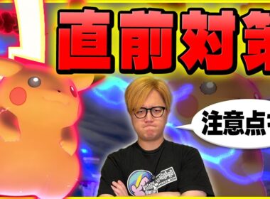 キョダイピカチュウ攻略はあれ一択!!対策に用意すべきポケモンと注意点をお話しします【ポケモンGO】