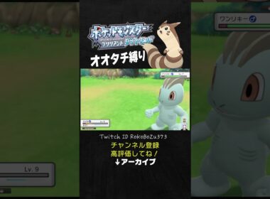 【オオタチ縛り旅】ワンリキーのけたぐりで6タテされた漢のvsワンリキー。【ダイパリメイク／ポケモン／生放送切り抜き】