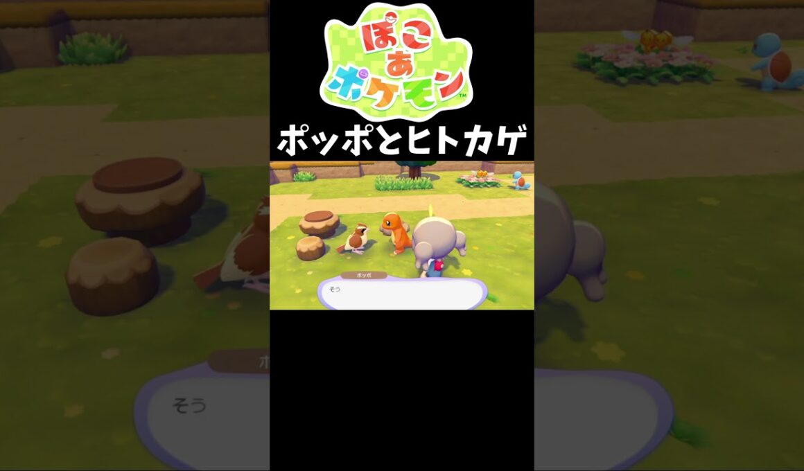 【ポッポとヒトカゲ】#ぽこあポケモン #ぽこポケ #shorts