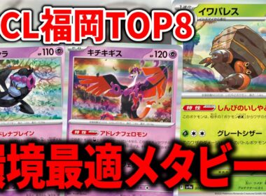 7000人中の8位に輝いた"イワパレス"が環境に適しすぎていて最強だった件【ポケカ】