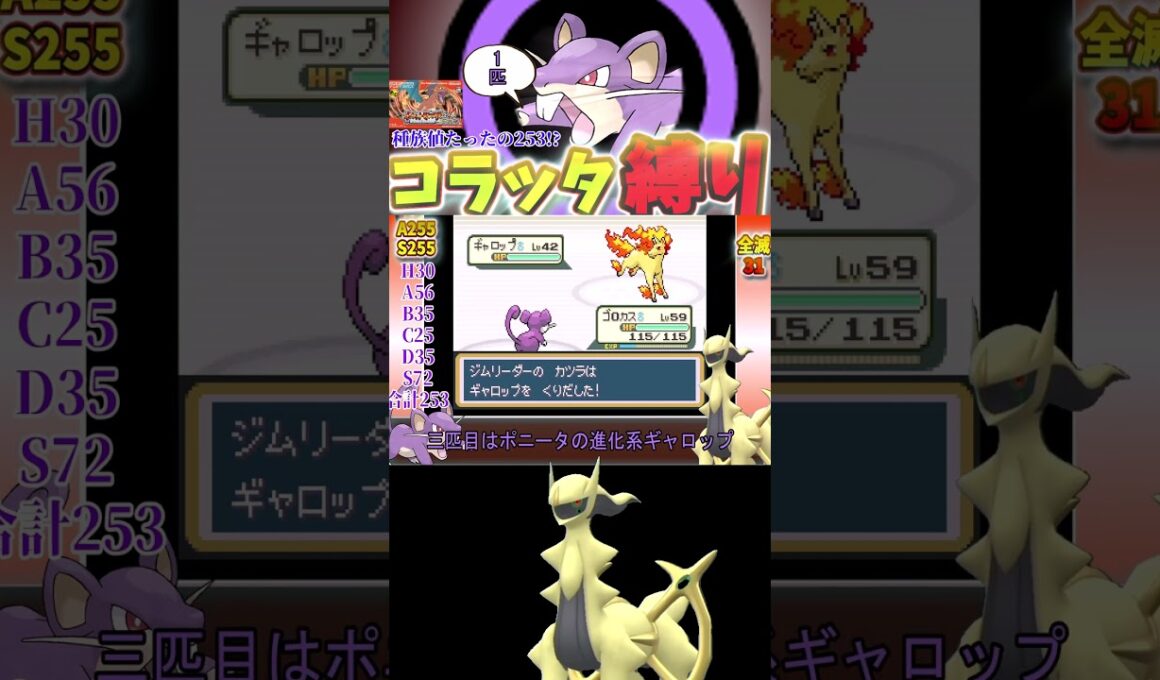 【種族値253】これから毎日家を焼かれるコラッタ【ゆっくり実況】【FRLG】【これから毎日家を焼こうぜ】【コラッタ縛り】 #ポケモンsv #frlg