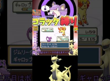 【種族値253】これから毎日家を焼かれるコラッタ【ゆっくり実況】【FRLG】【これから毎日家を焼こうぜ】【コラッタ縛り】 #ポケモンsv #frlg