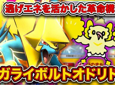 【ポケポケ】実際に”環境最大大会”で入賞してきた！でんきのポテンシャルを最大まで引き出した最強メガライボルトオドリドリを徹底解説。【メガライボルトex】