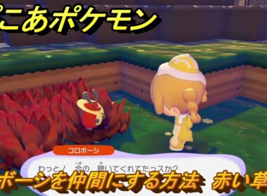 ぽこあポケモン　コロボーシを仲間にする方法　赤い草むら　＃１２４　【ぽこポケ】