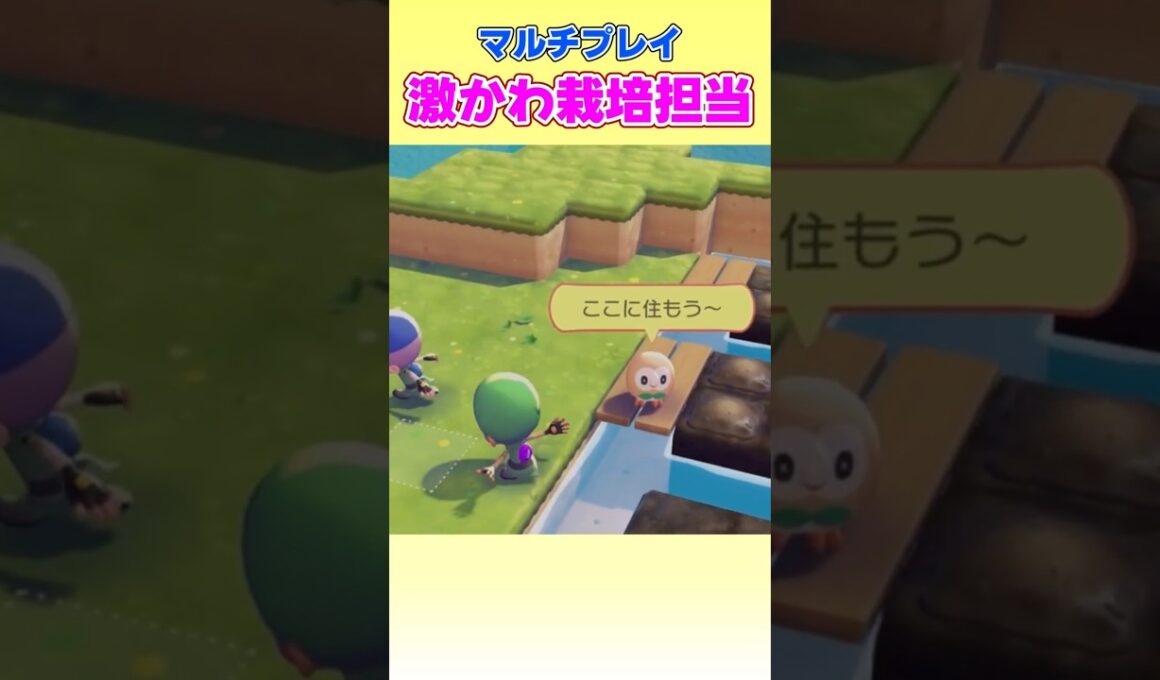 モクローが可愛すぎて限界化する友達【ぽこあポケモン】