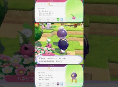 ハネッコとフワライドの特殊会話 #ぽこあポケモン #ポケモン #switch2 #shorts