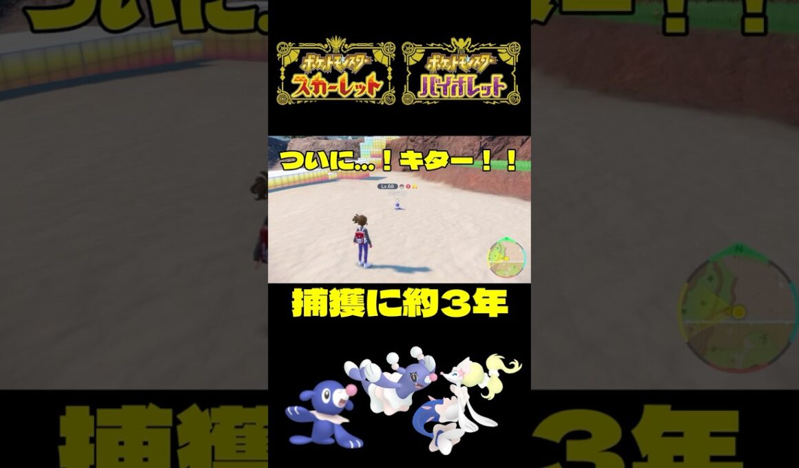 捕獲に約３年かかった色違いアシマリ♀証持ち【ポケモンSV】【＃ポケモンSV切抜】【＃ポケモンSV配信】【＃Shorts】【#ポケモンsv対戦】