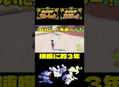 捕獲に約３年かかった色違いアシマリ♀証持ち【ポケモンSV】【＃ポケモンSV切抜】【＃ポケモンSV配信】【＃Shorts】【#ポケモンsv対戦】