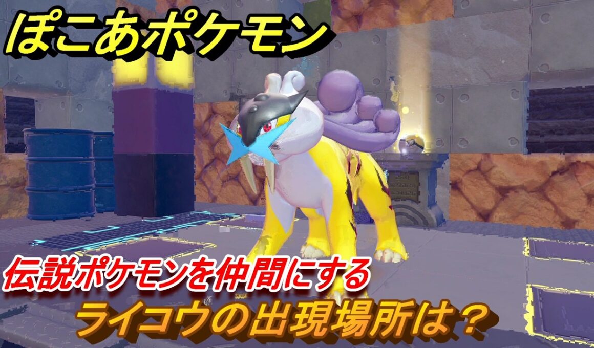ぽこあポケモン　ライコウの出現場所は？伝説ポケモンを仲間にする　＃２６２　【ぽこポケ】