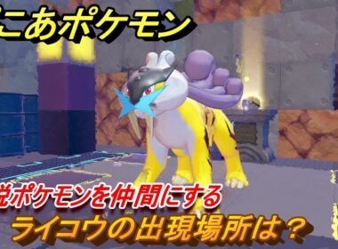 ぽこあポケモン　ライコウの出現場所は？伝説ポケモンを仲間にする　＃２６２　【ぽこポケ】
