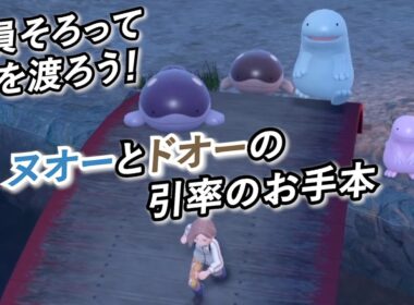 全員そろって橋を渡ろう！ヌオーとドオーの引率のお手本をお見せします【ポケモンSV】